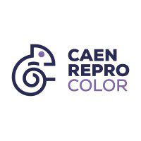 Caen Repro Color